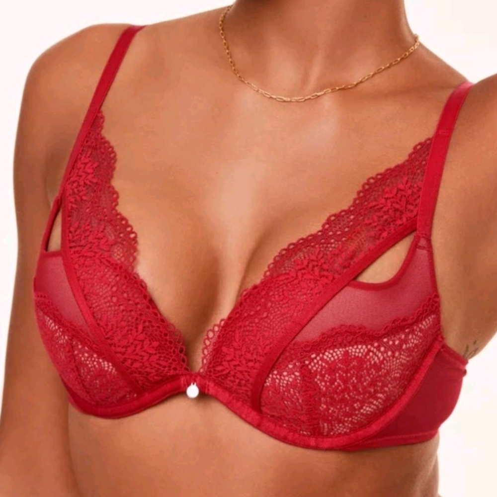NWT Sylvia Push Up w. Thong